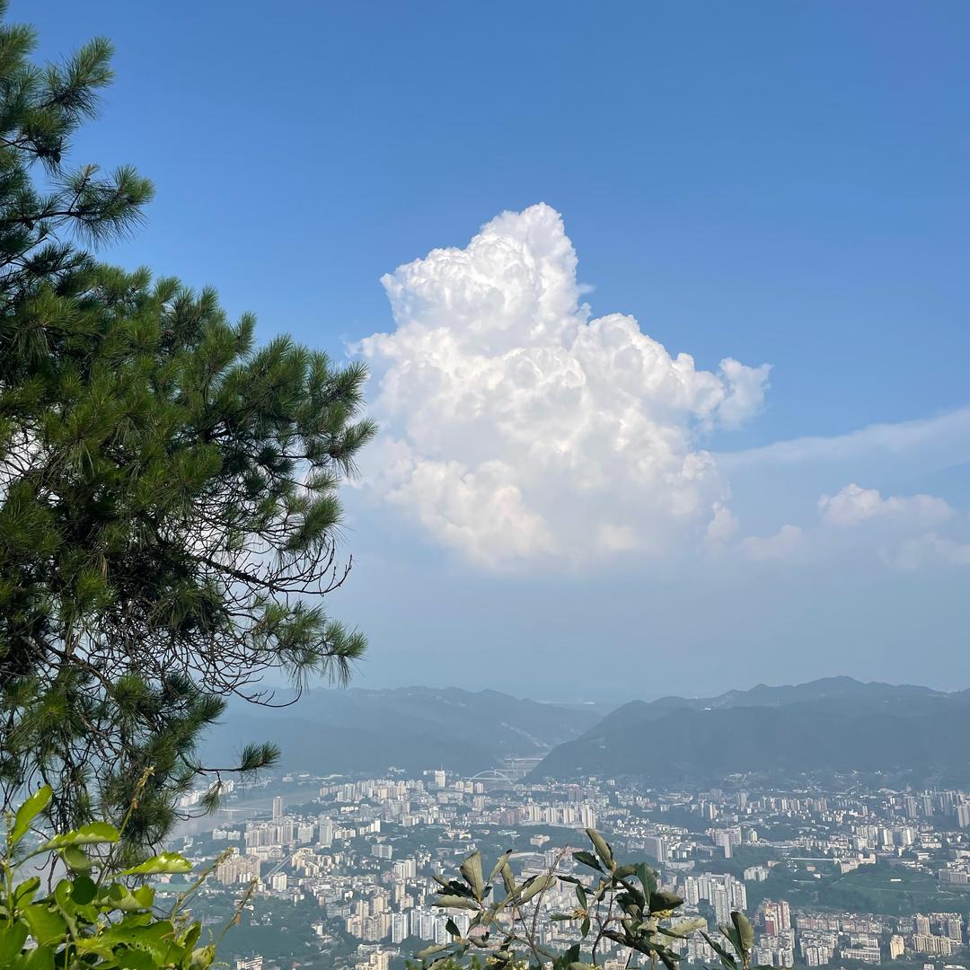 山