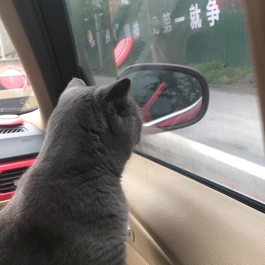 拈花一笑
