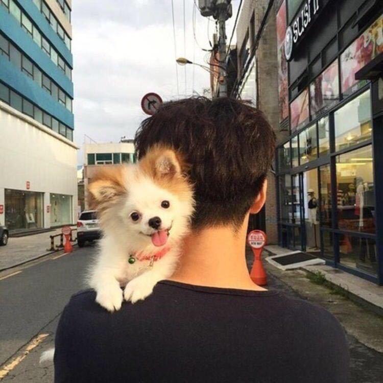 再话