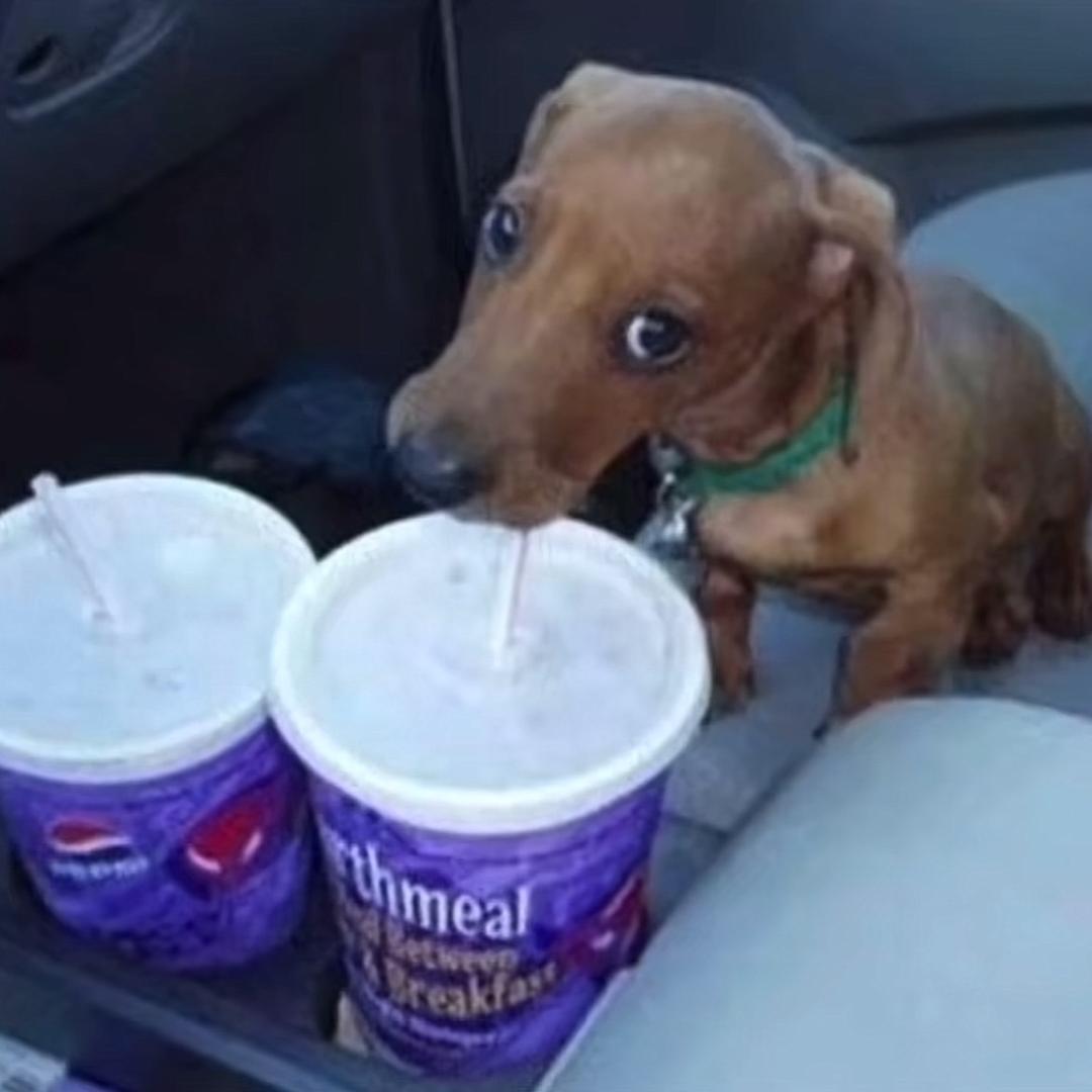 超可爱的萌妹id