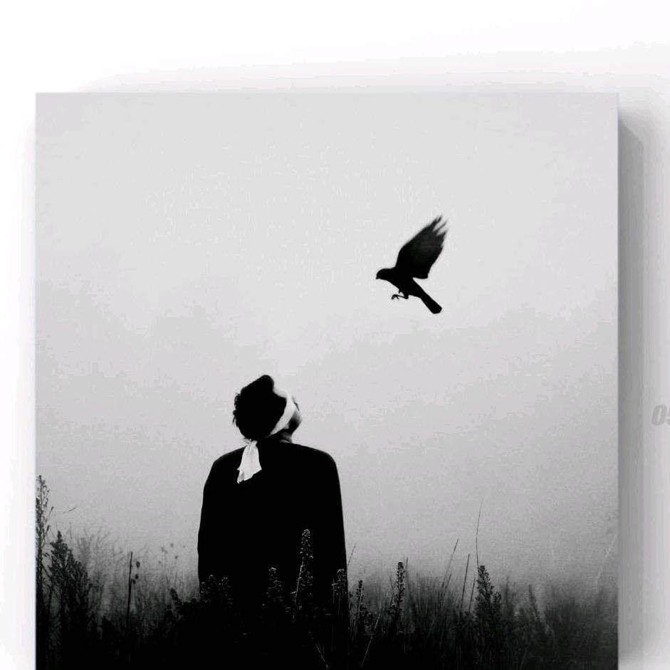 小麻新品种果树苗