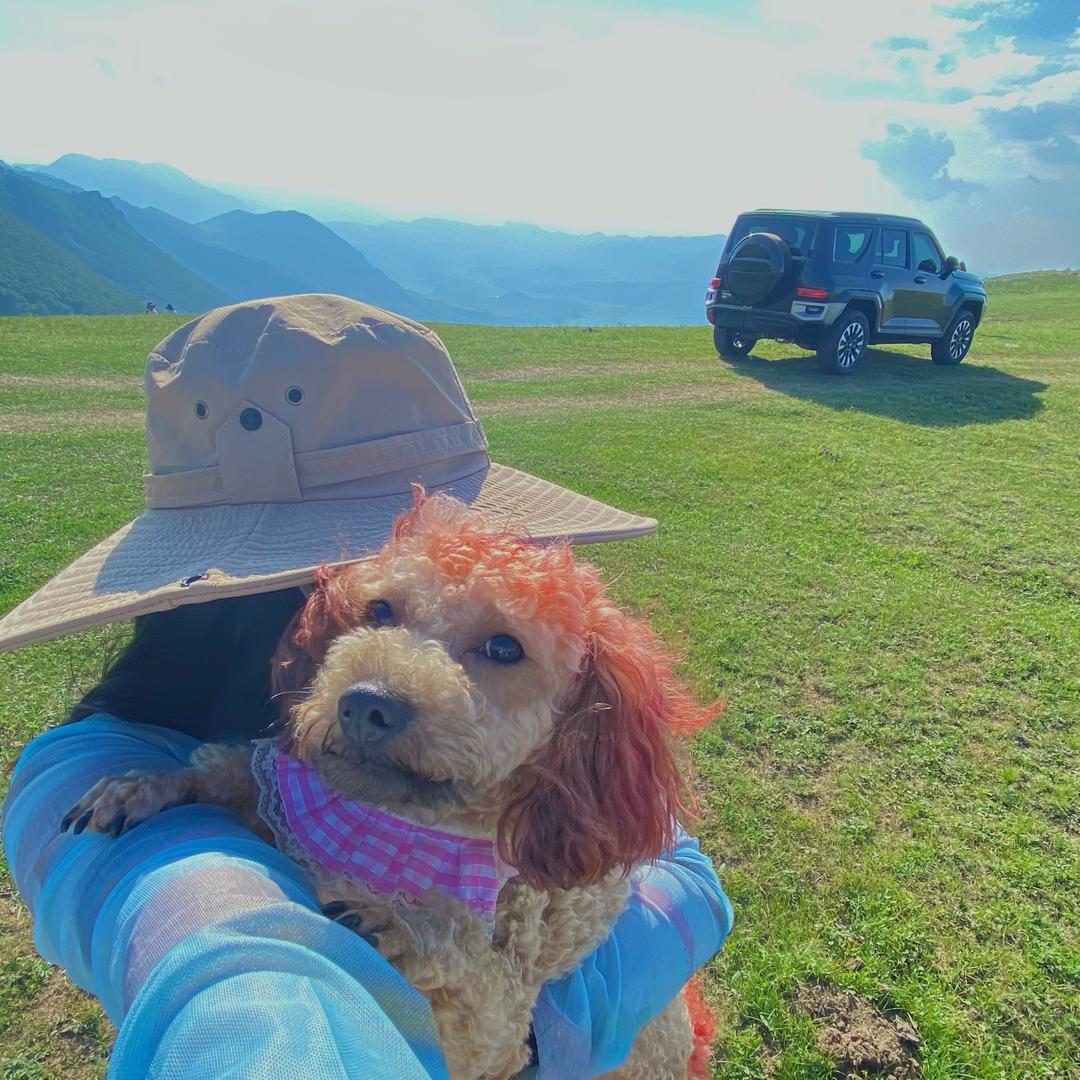 大梦不萌🐶