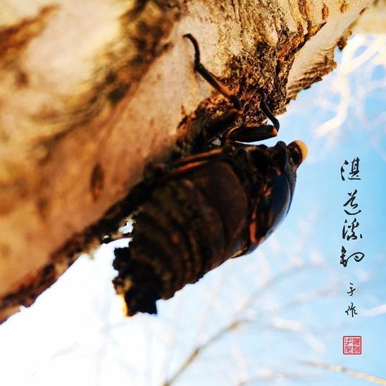 湛道