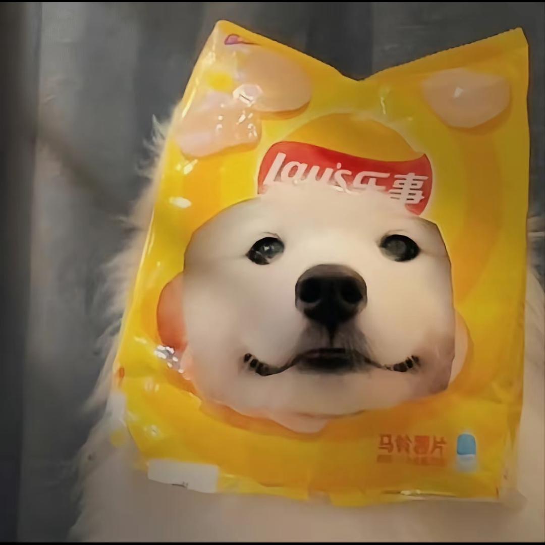 谁能读懂我的泪、）