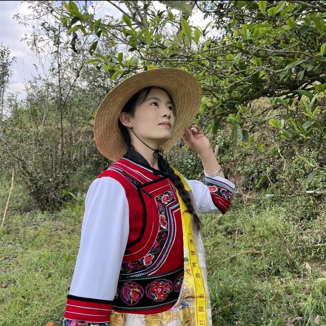 白莺山茶农合作社【海霞家茶】