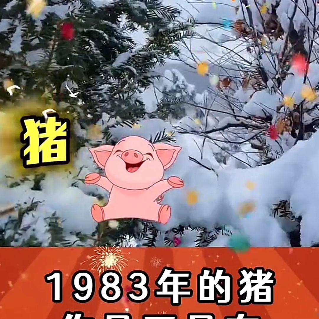 自然而然✌️