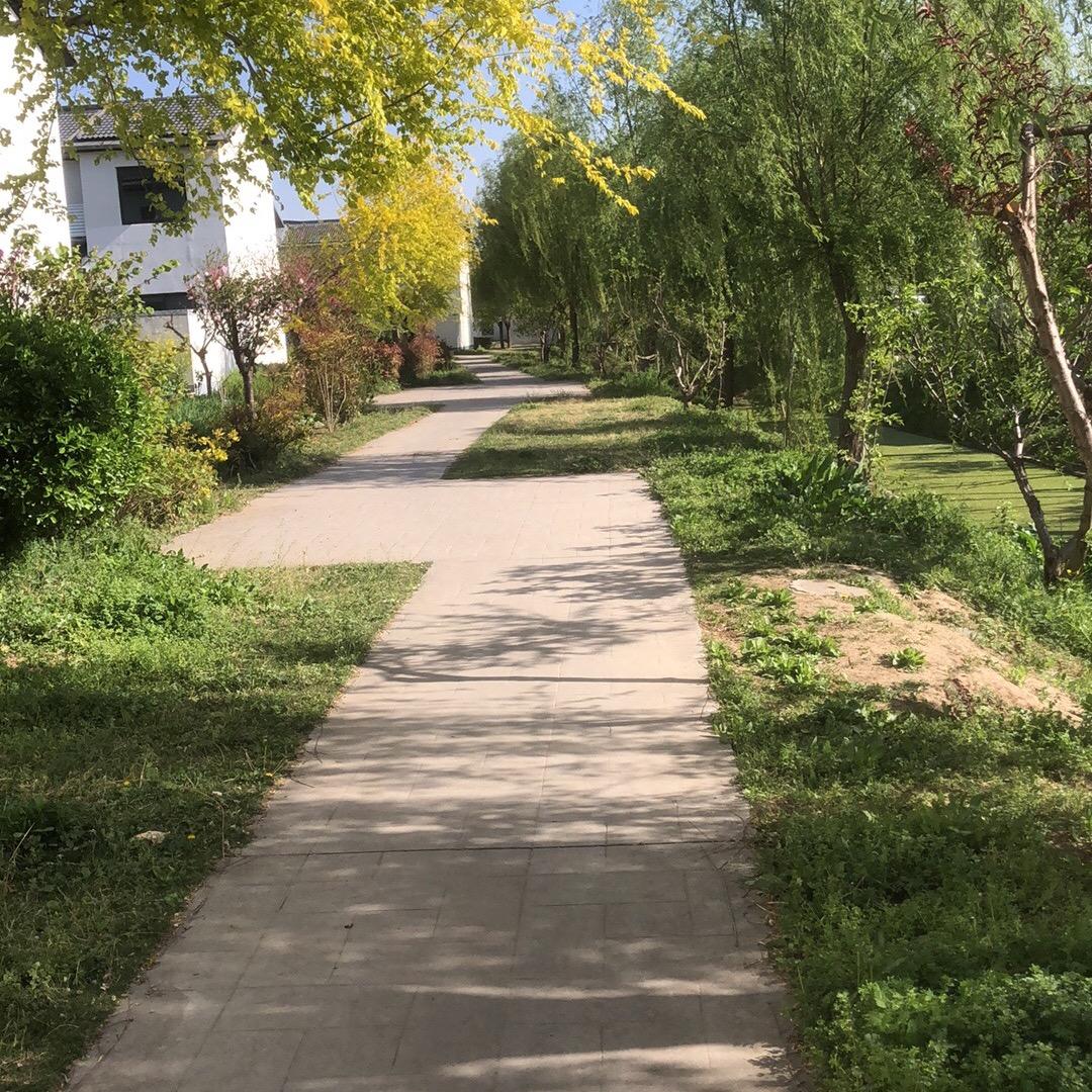 春花秋月