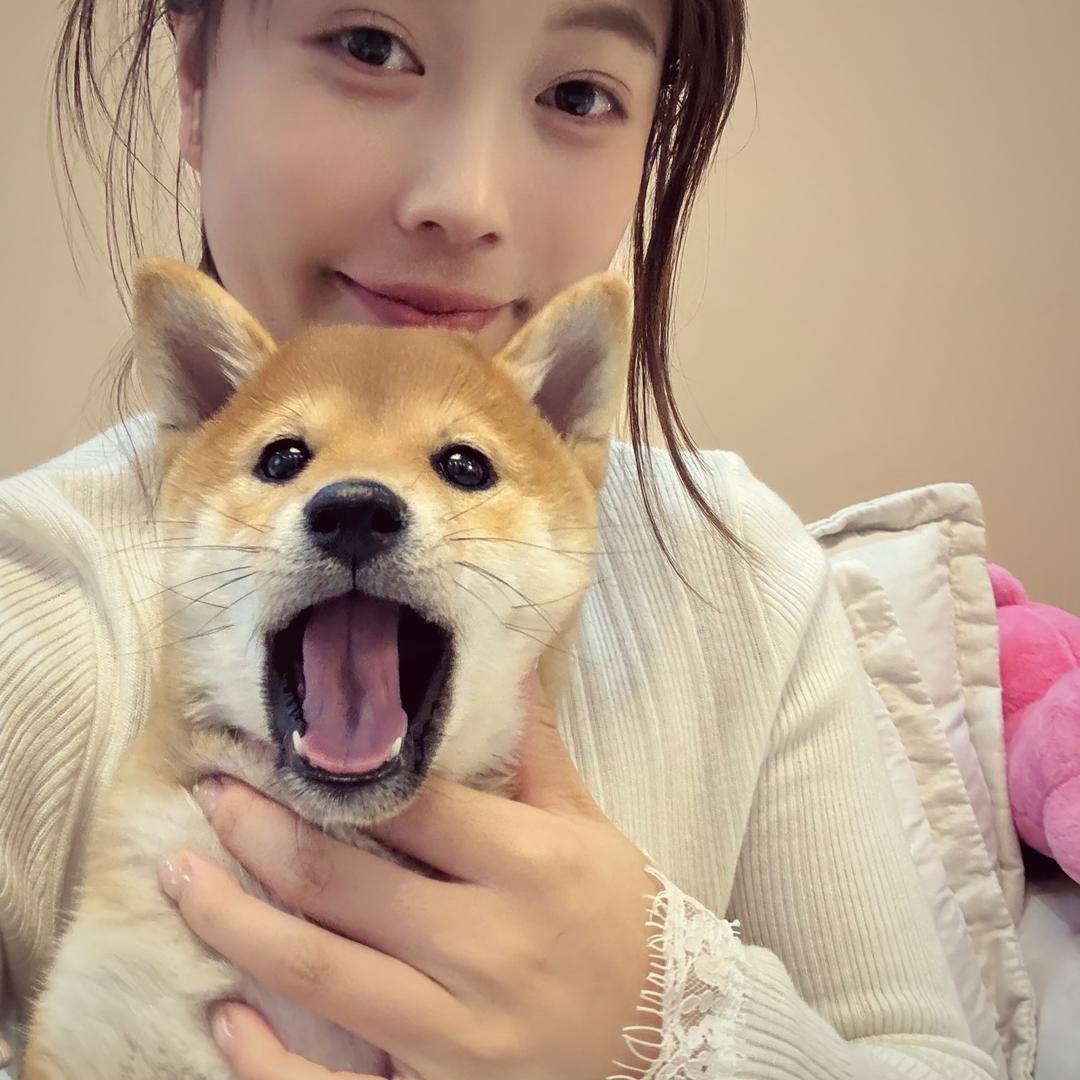 小柴桃核（叛逆期）