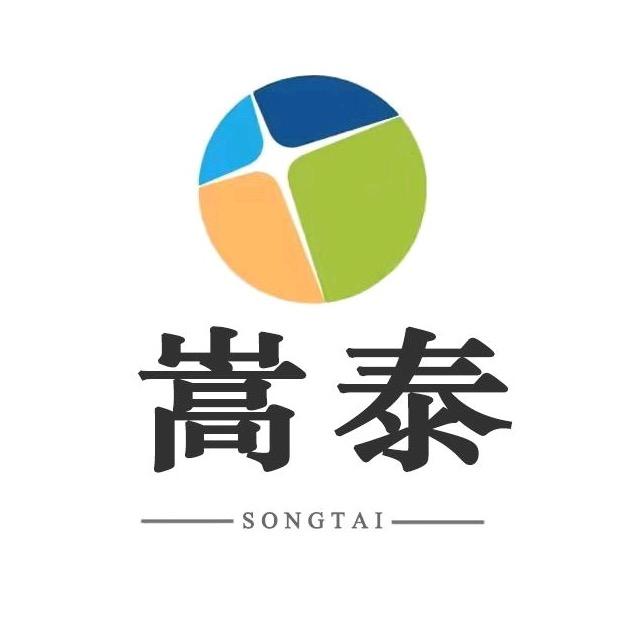 嵩泰玩具店