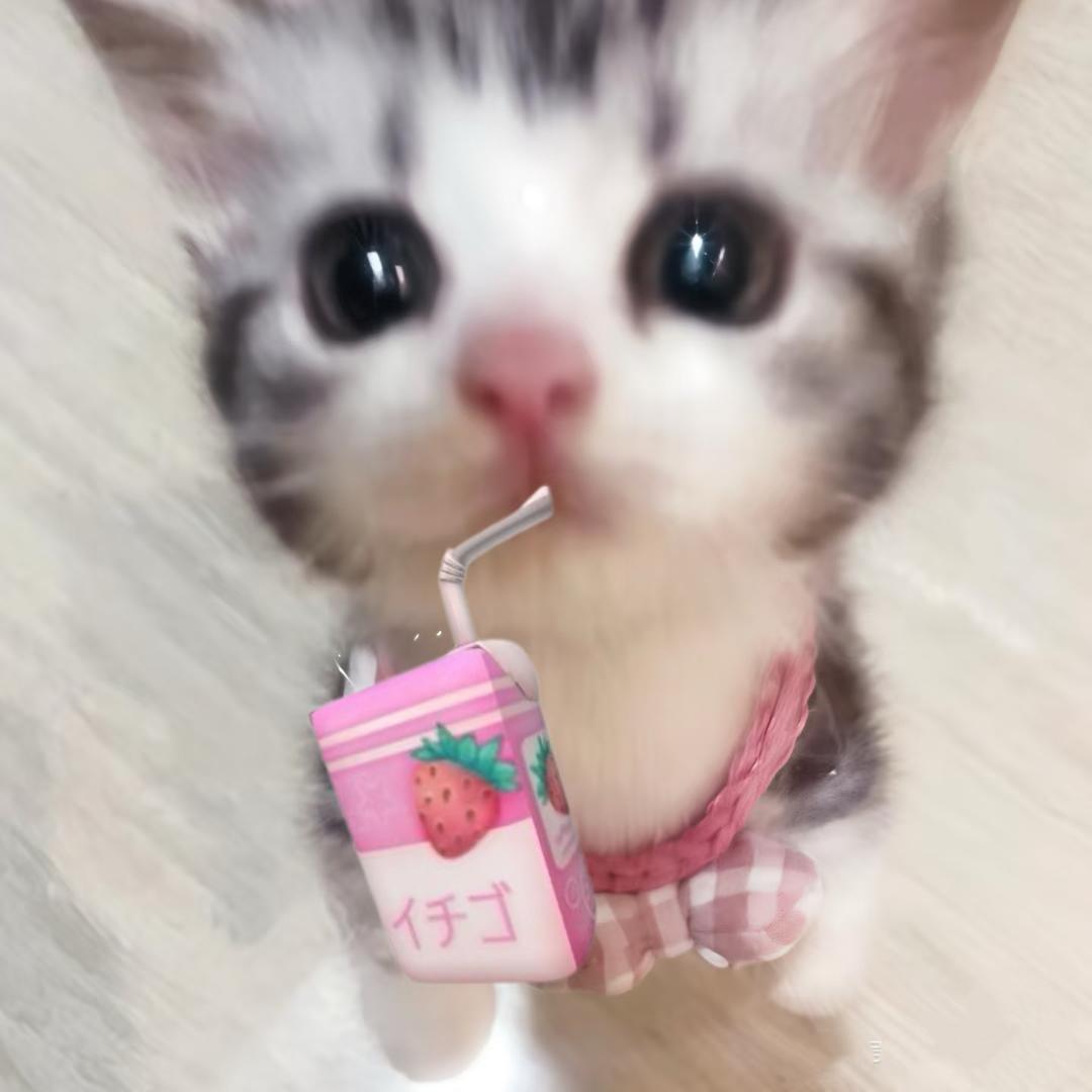 އ草莓座