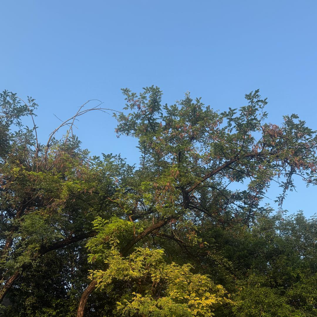 我为先