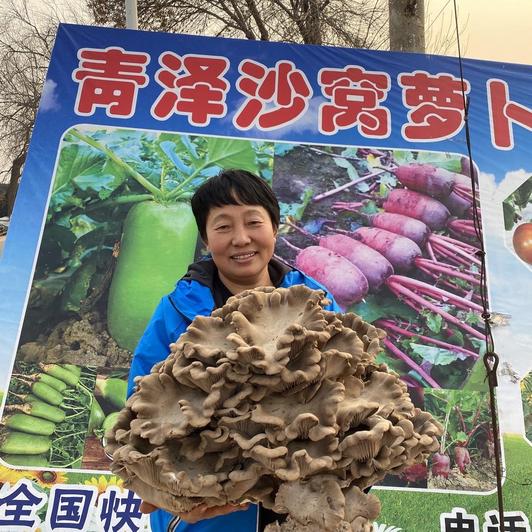 青泽农场零售店