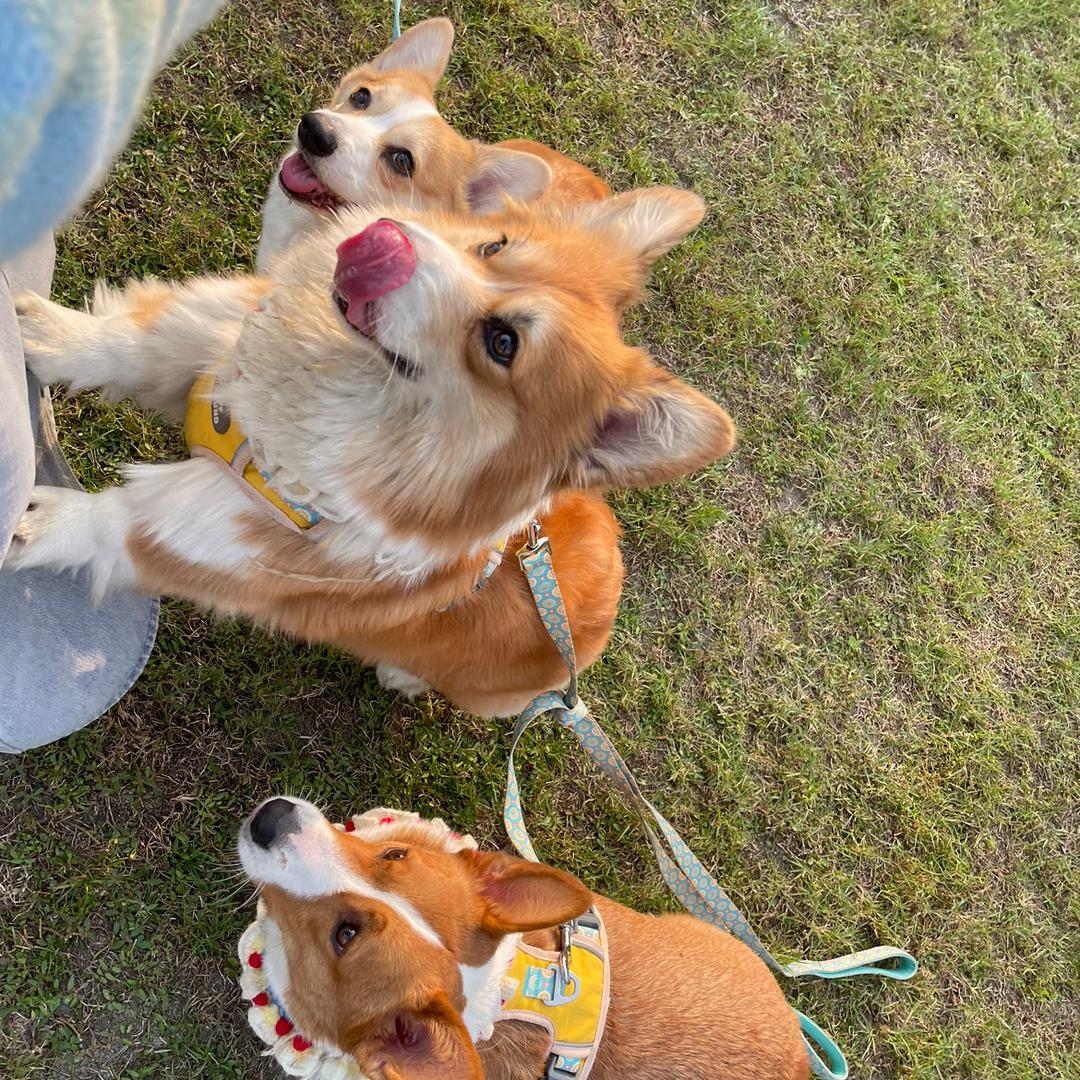 富贵儿的一家五口