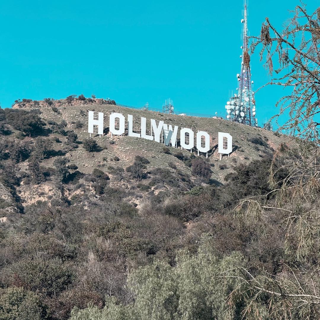 山东齐艺轩外贸有限公司