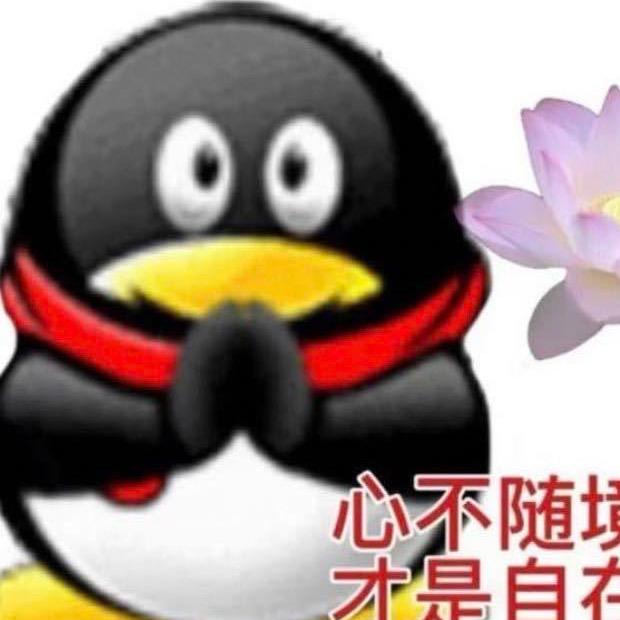 河北玉米大王