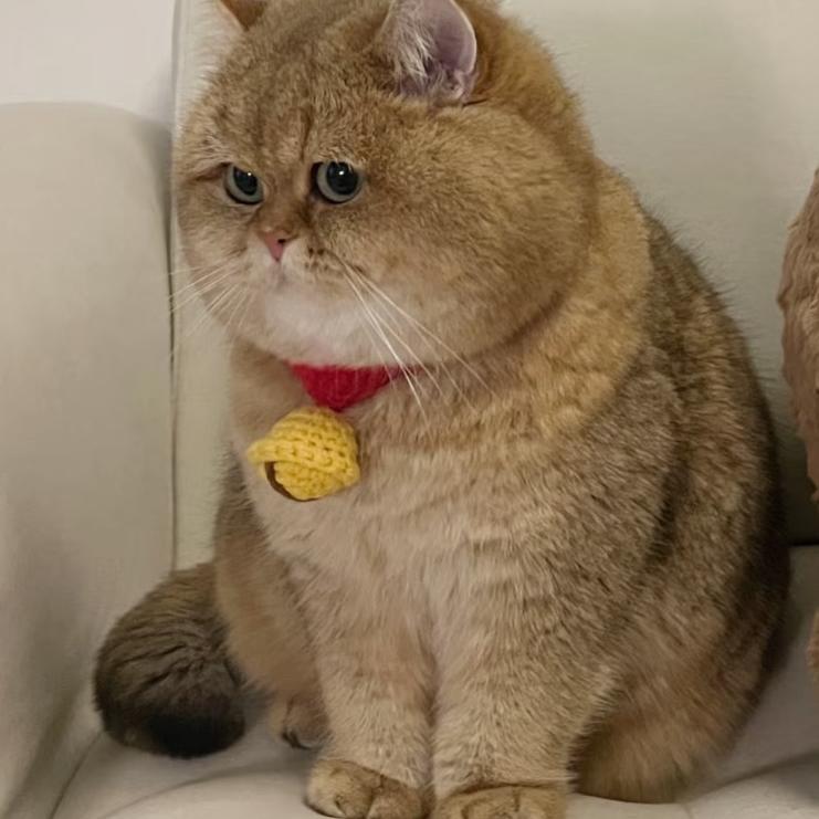 日用百货信息咨询