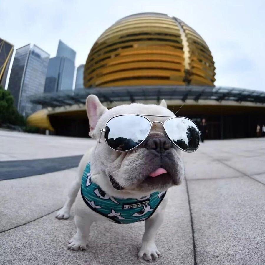 我要买GTR