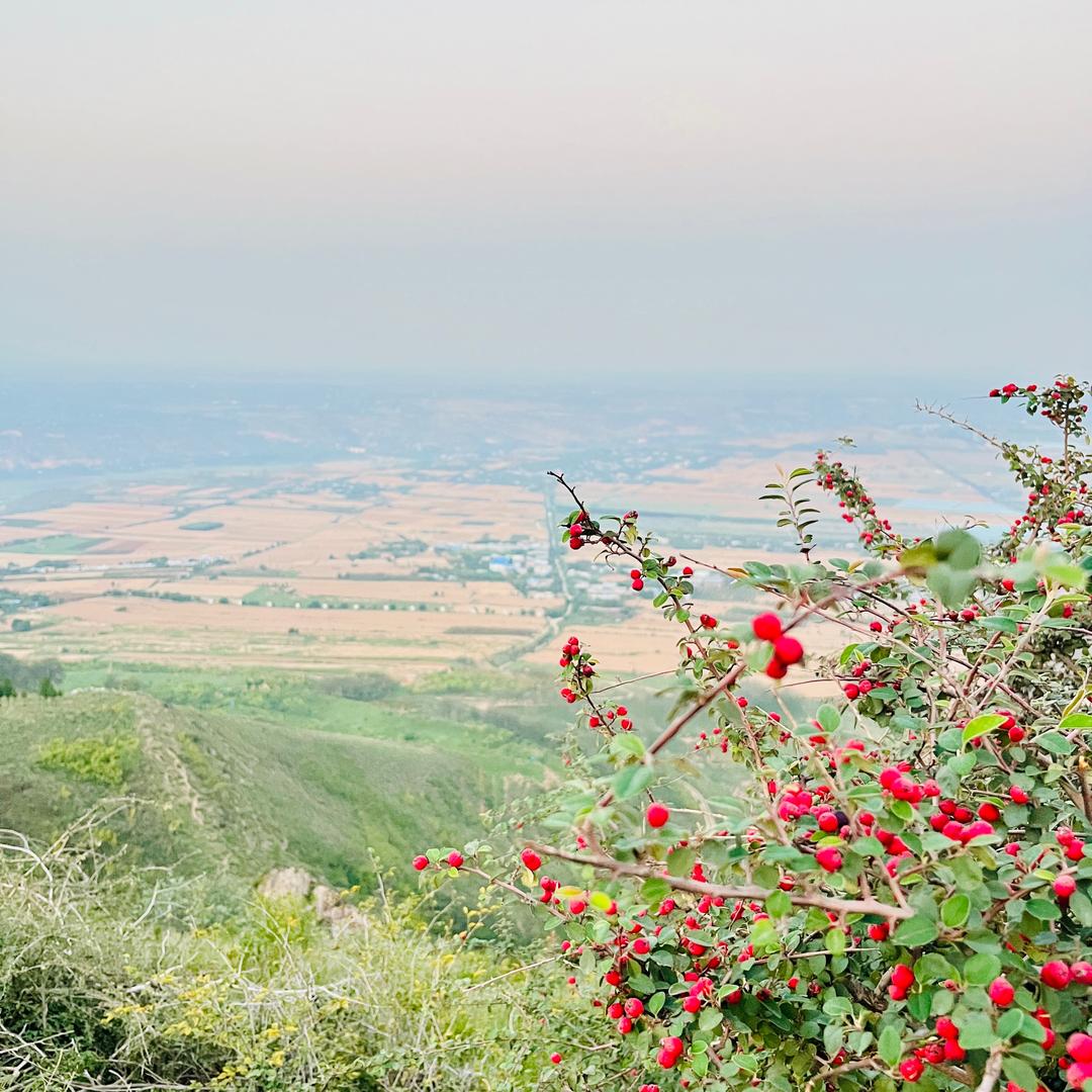 泾阳《建立转盘老陈肉夹馍🥙》