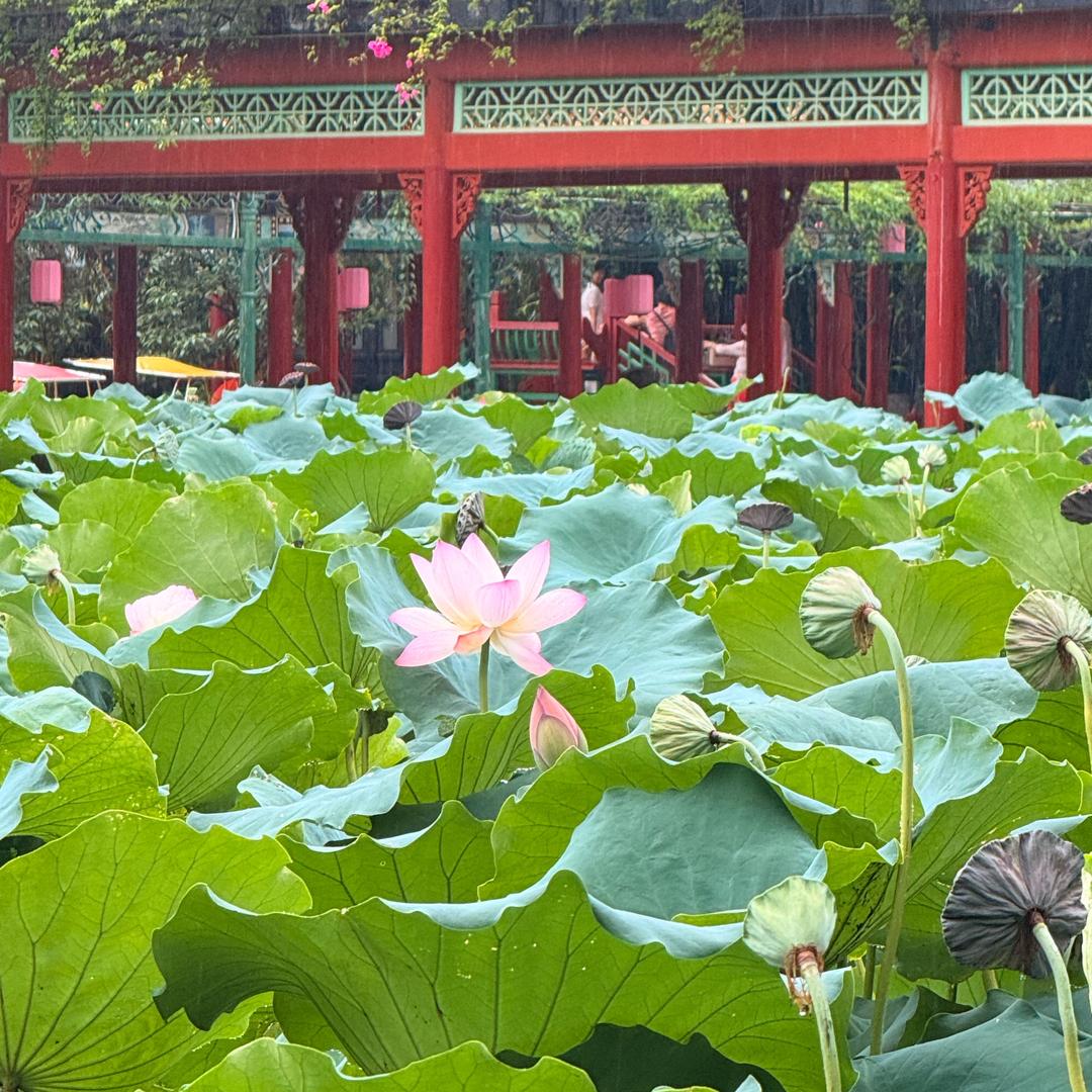 一锅粥