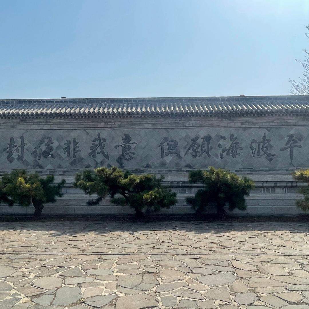 寂寞的小9