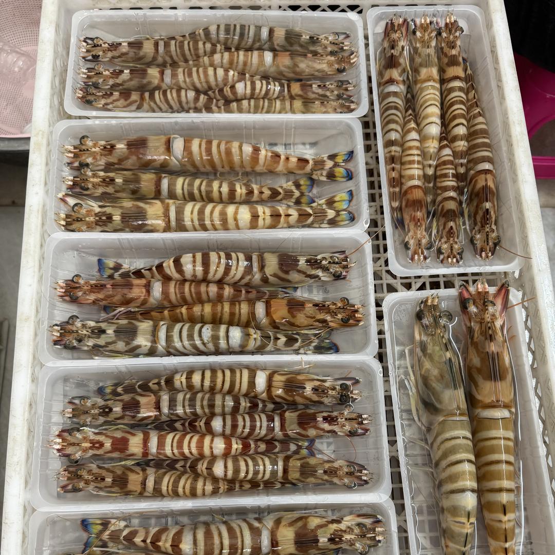 阿炎海产、丸类、潮汕小吃，达人对接号