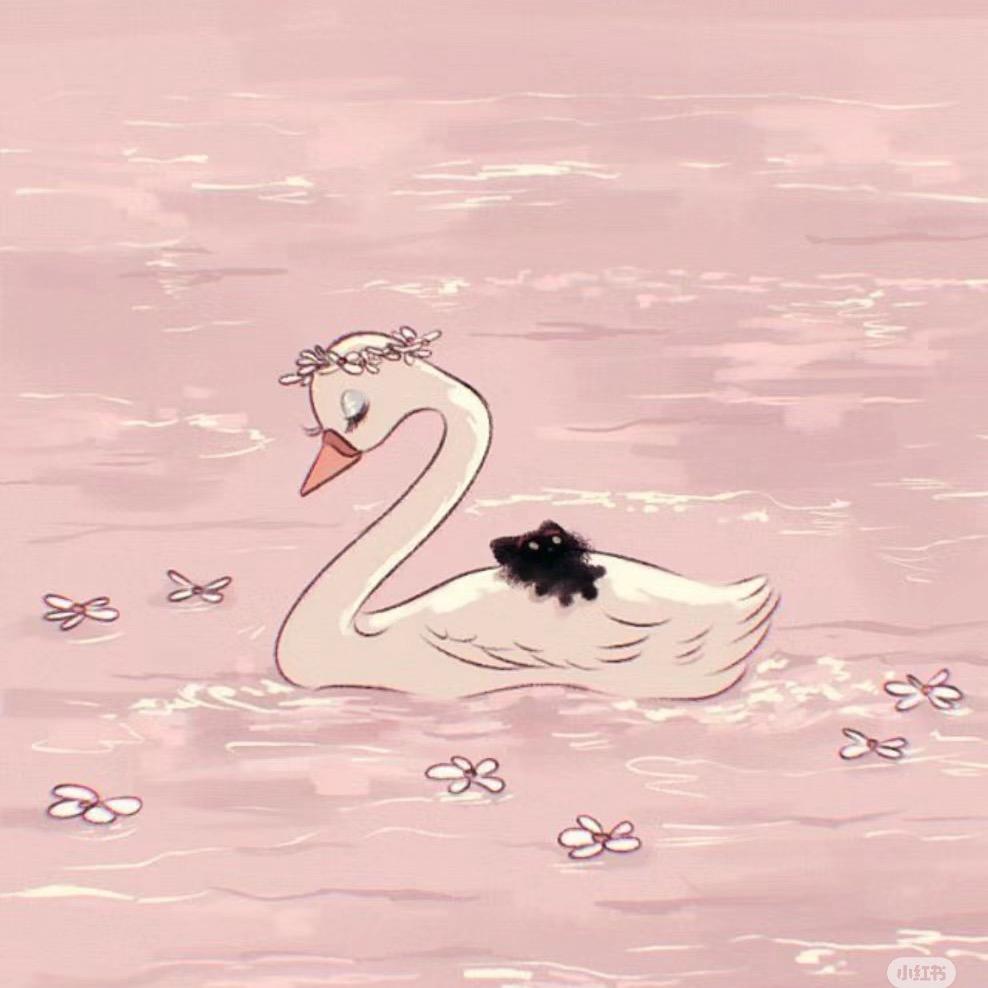 SHEs
