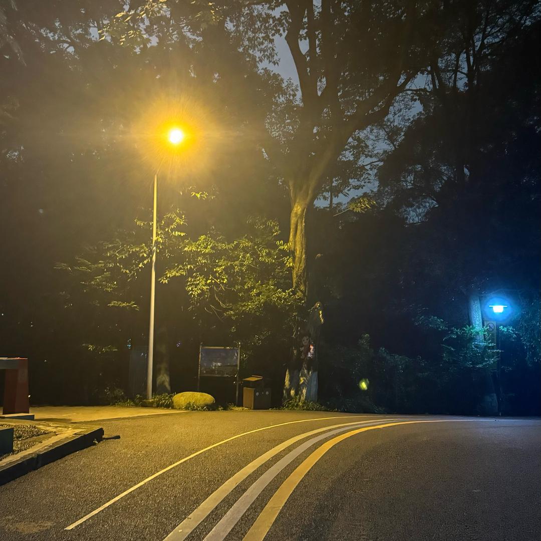 出发咯