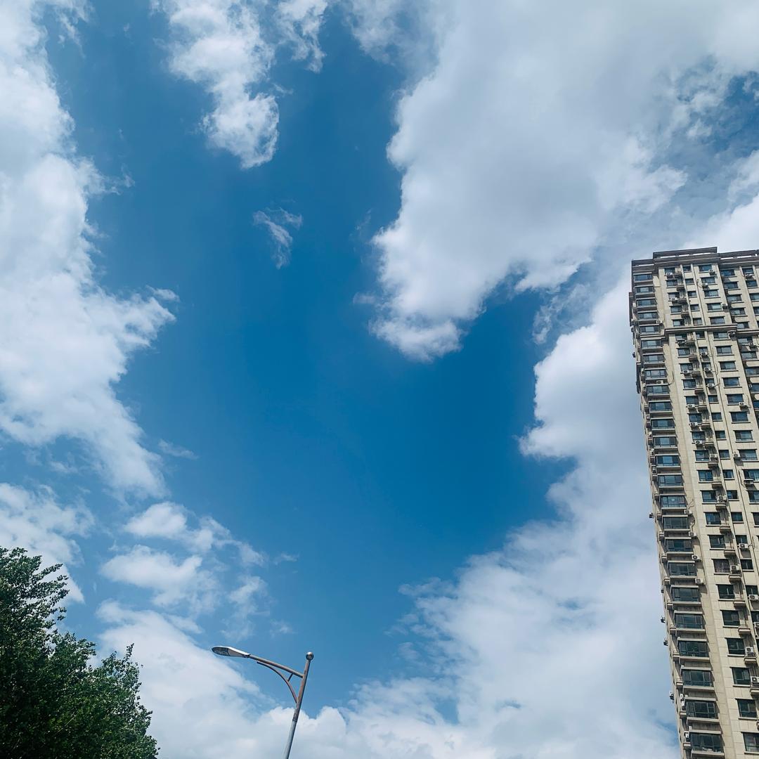 碧萧心缘