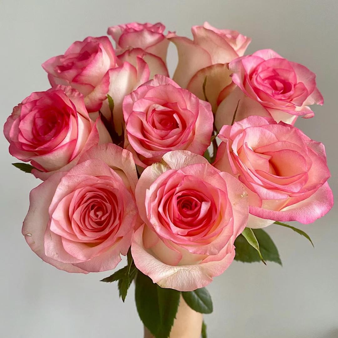 繁花园艺.