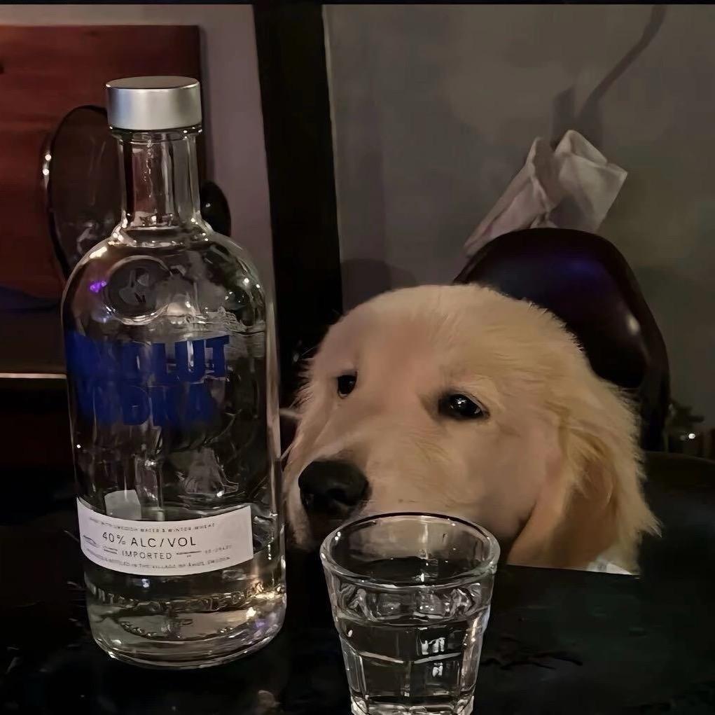 和包蛋