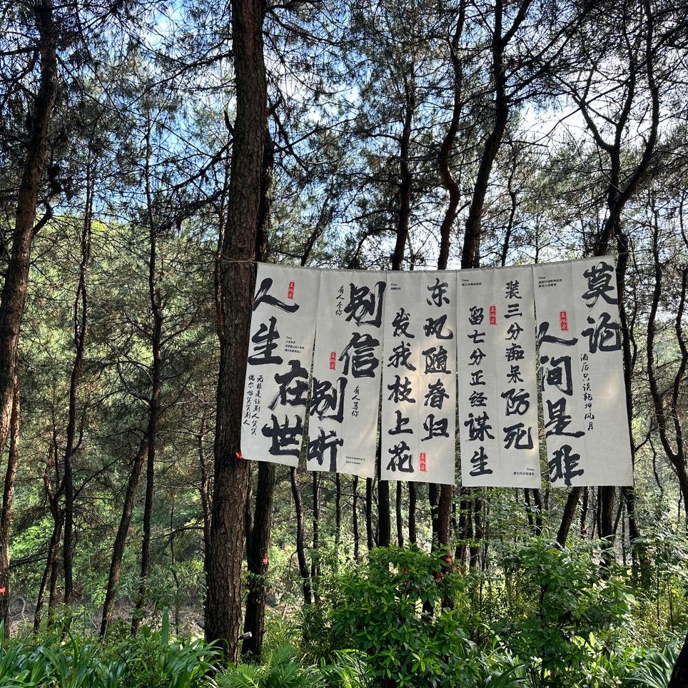 上☝️上☝️签