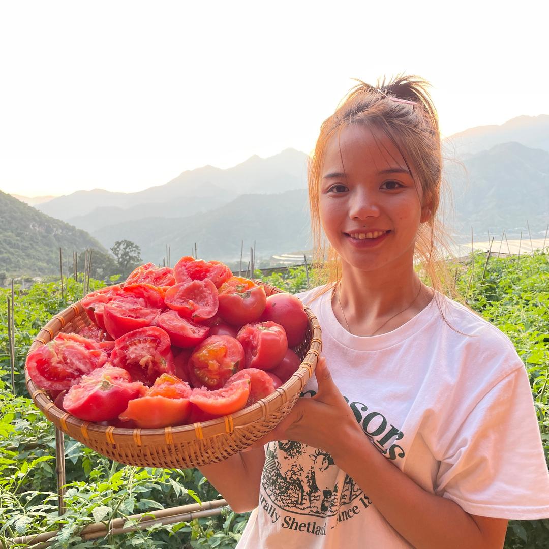 米易番茄🍅🍅🍅🍅🍅🍅