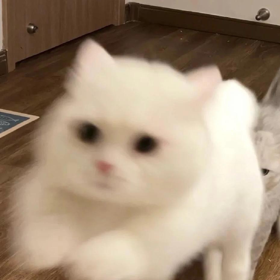一杯冰美式