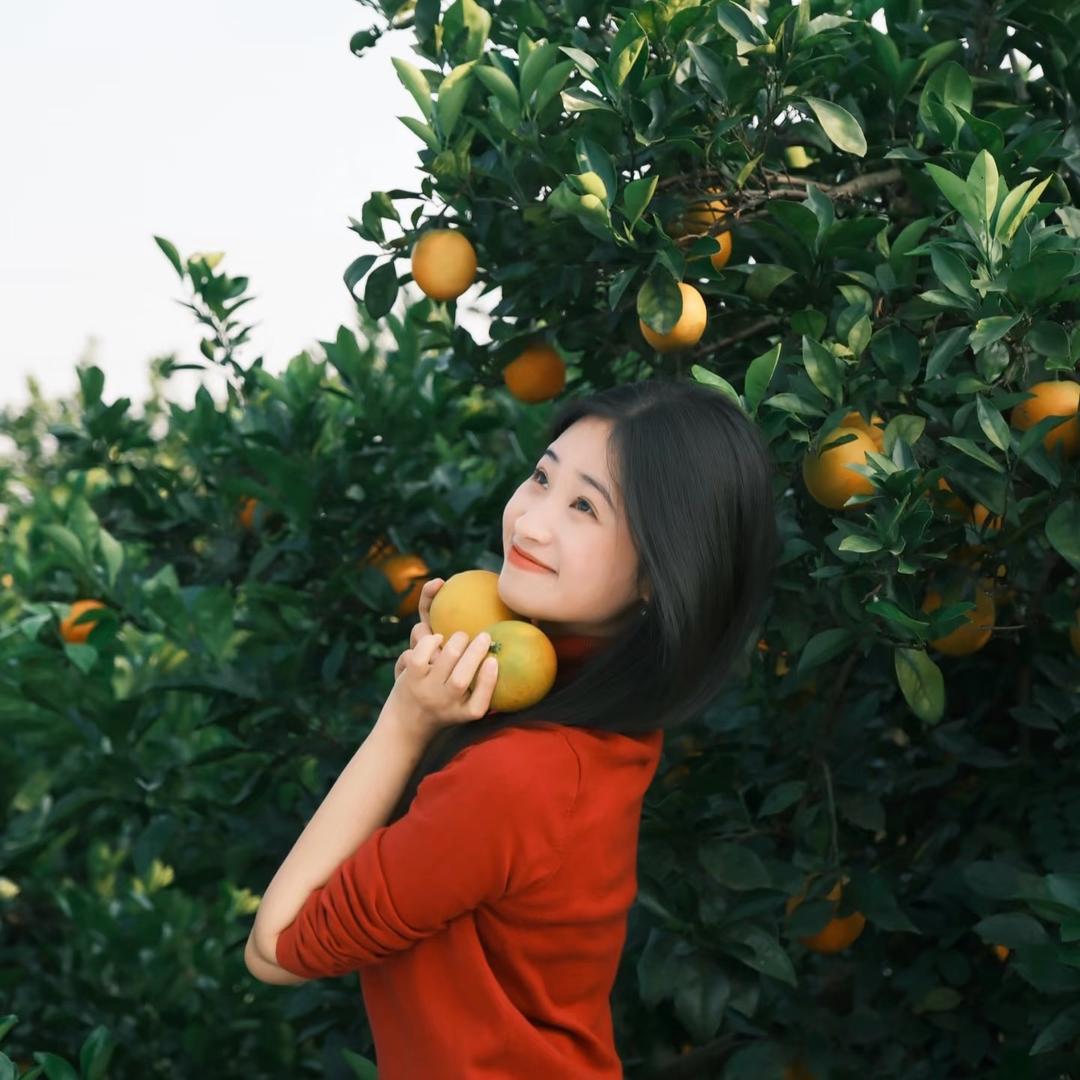 四季鲜橘橙果业🍊（全国代发）