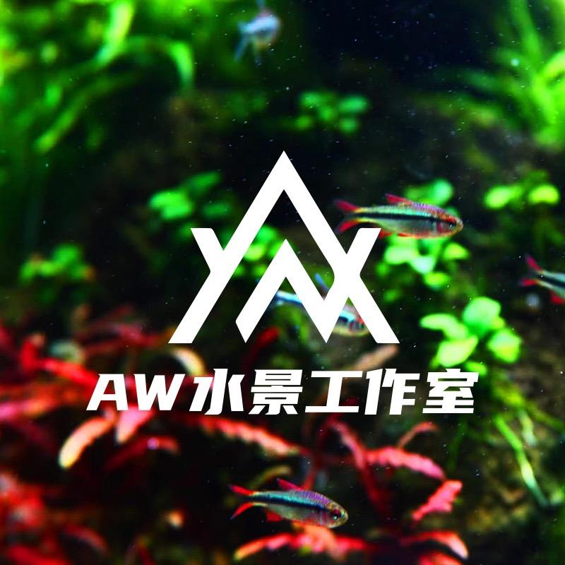 AW阿文水景工作室