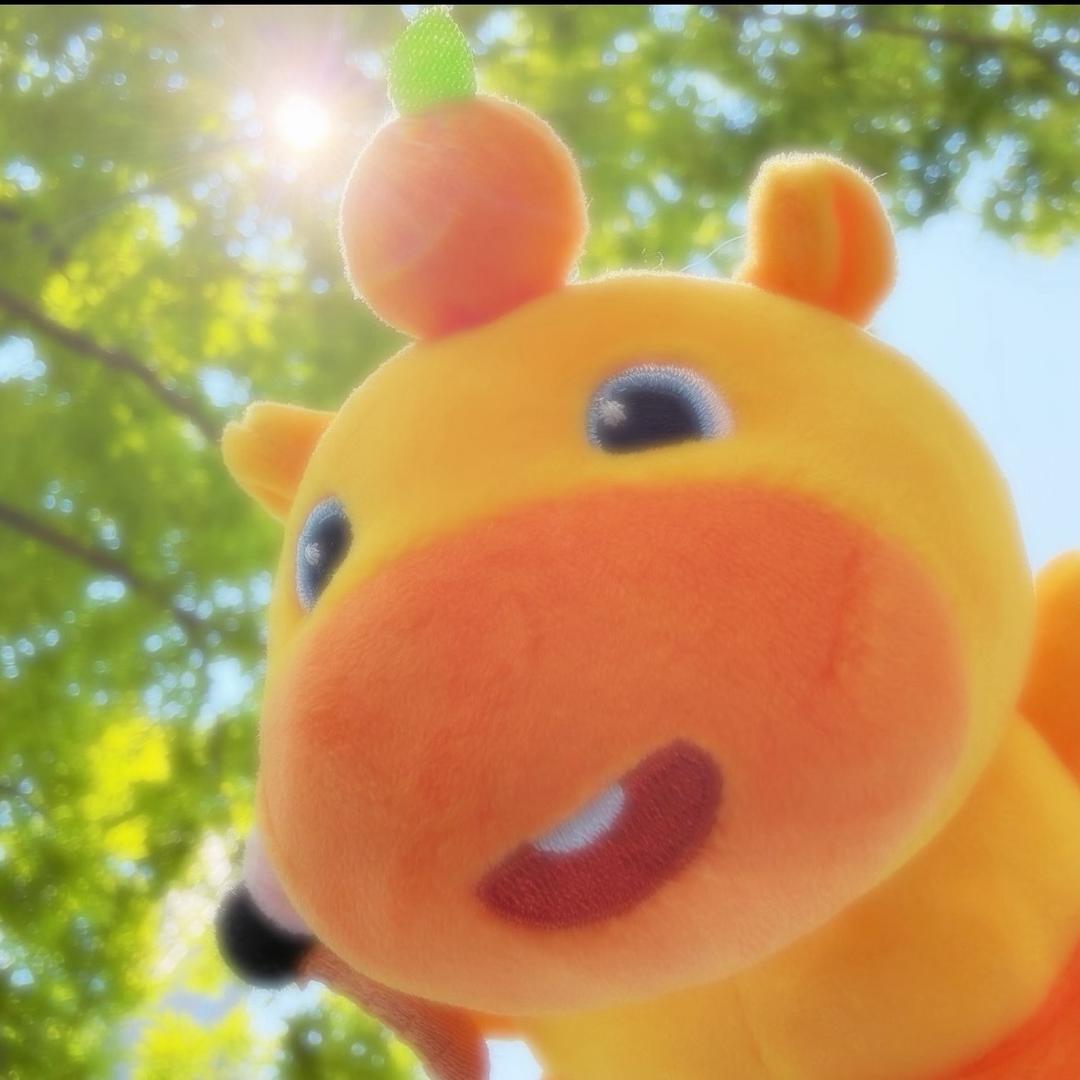 C程