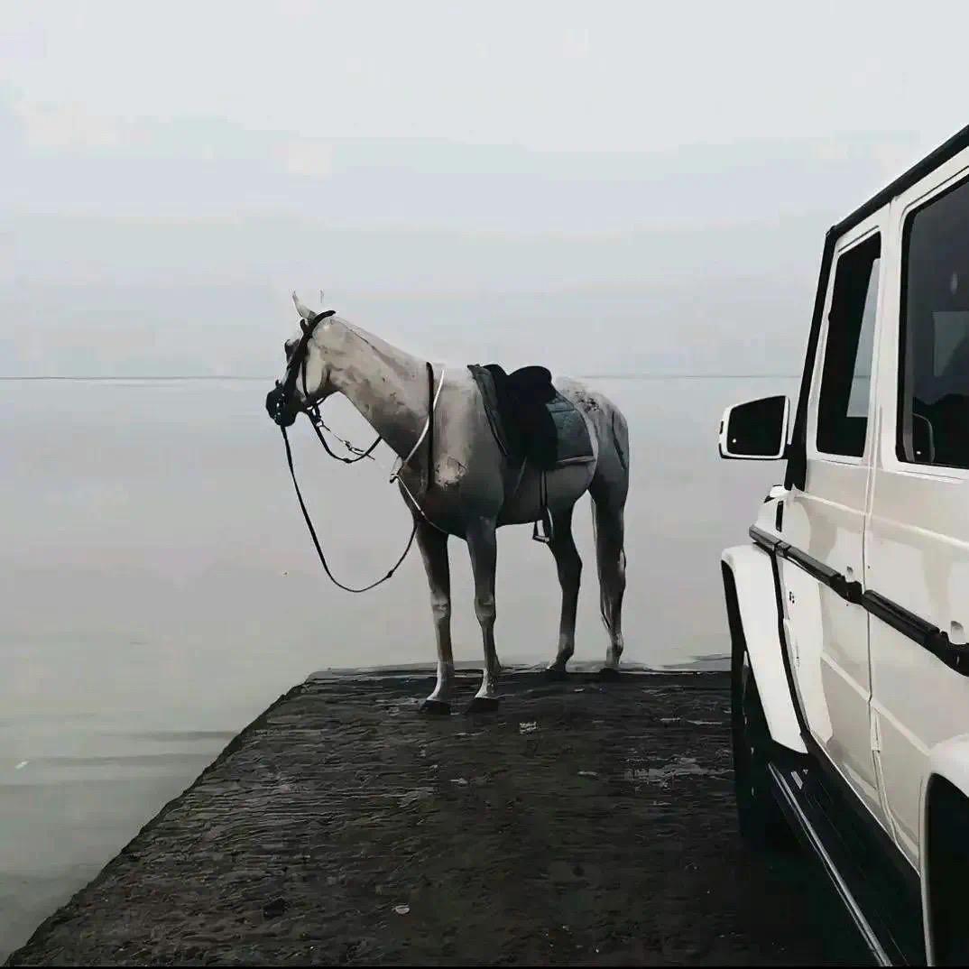 福园果业