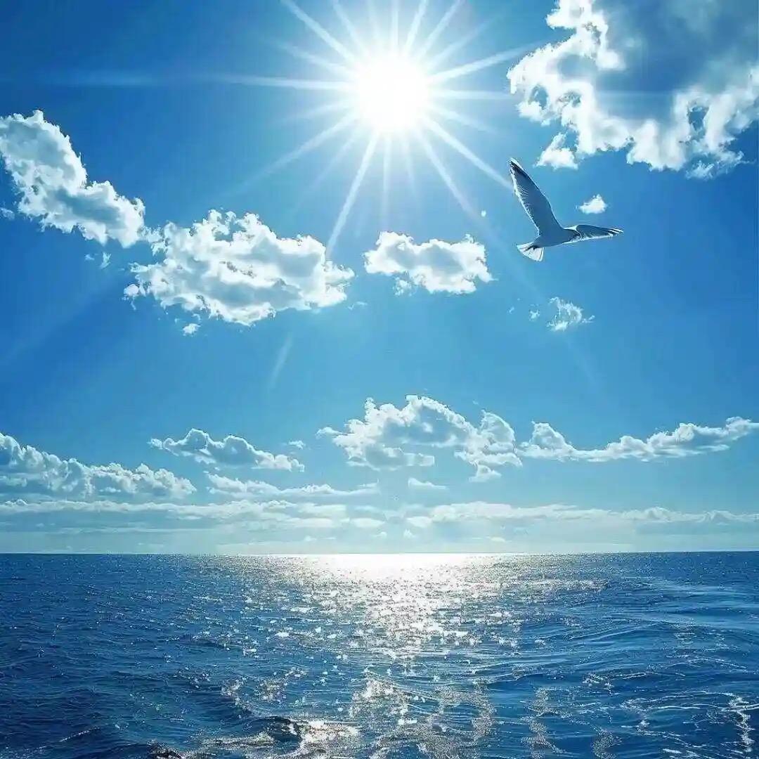 二哥现在有点烦