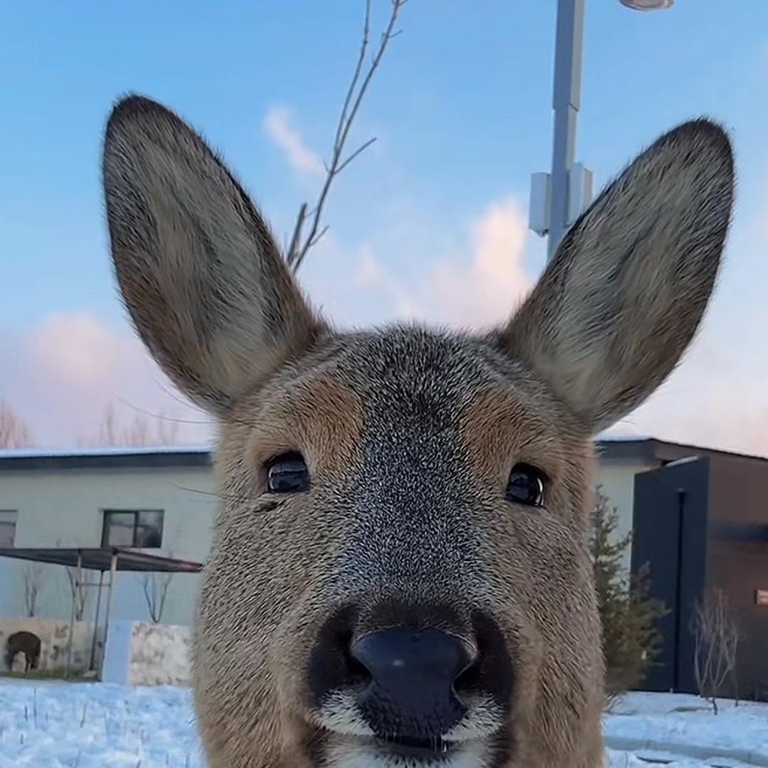 …