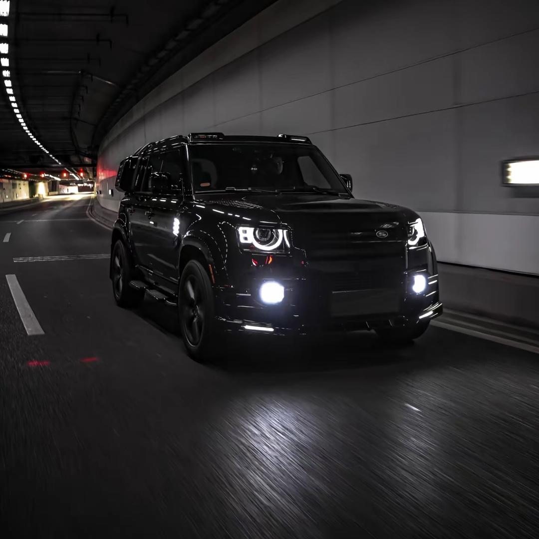 南部山区的狼🐺