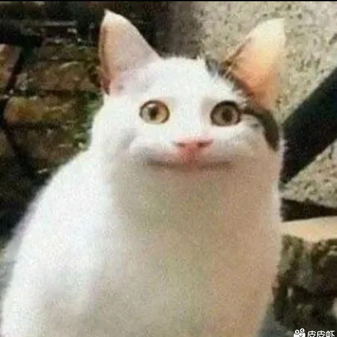 鑫赵不宣