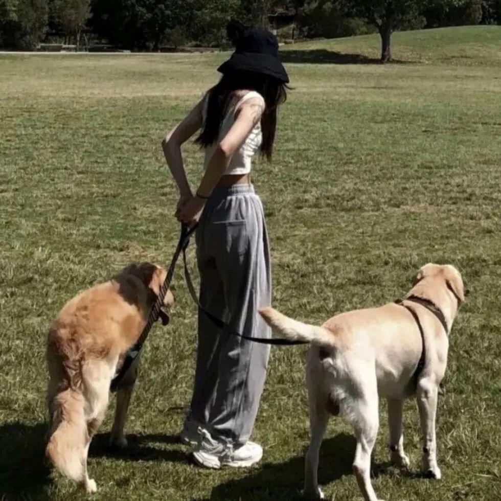 🧀奶酪饭团_🍙