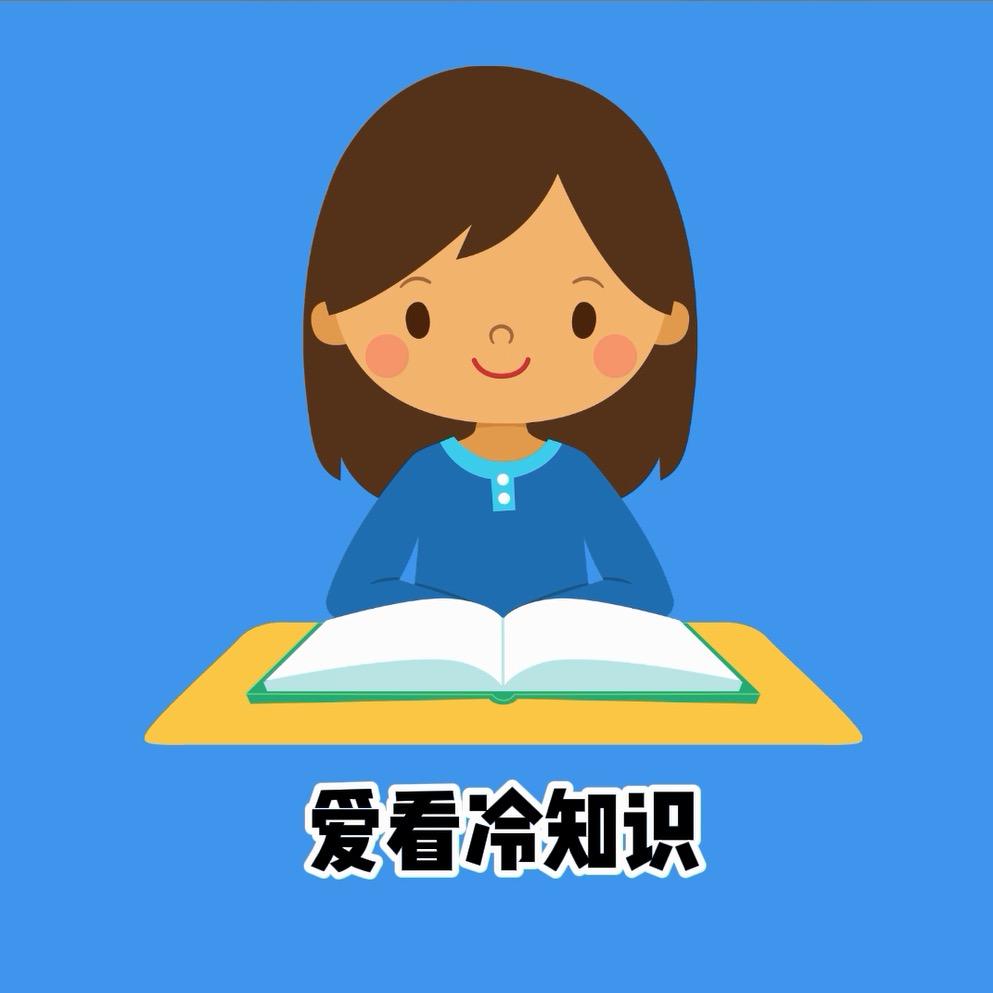爱看冷知识