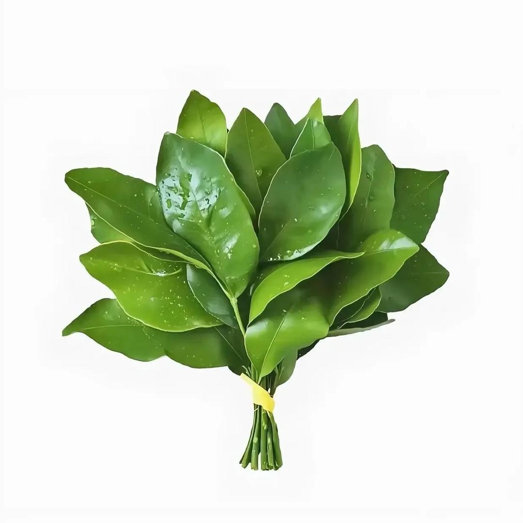 不讲li