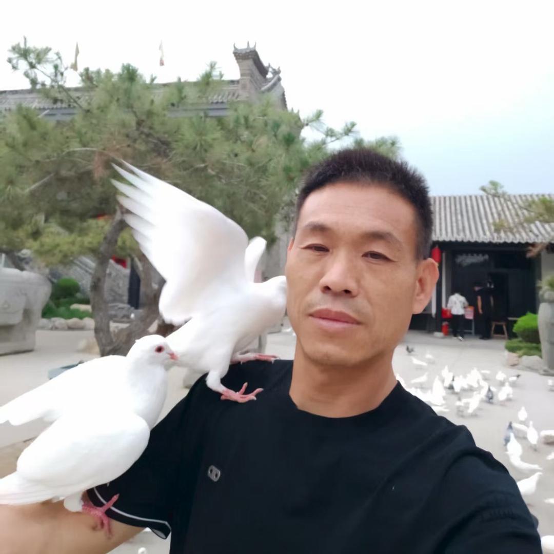 蒲城苍狼