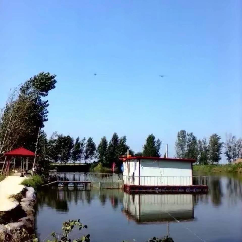 🇨🇳武城丁王庄(凯宇垂钓园)