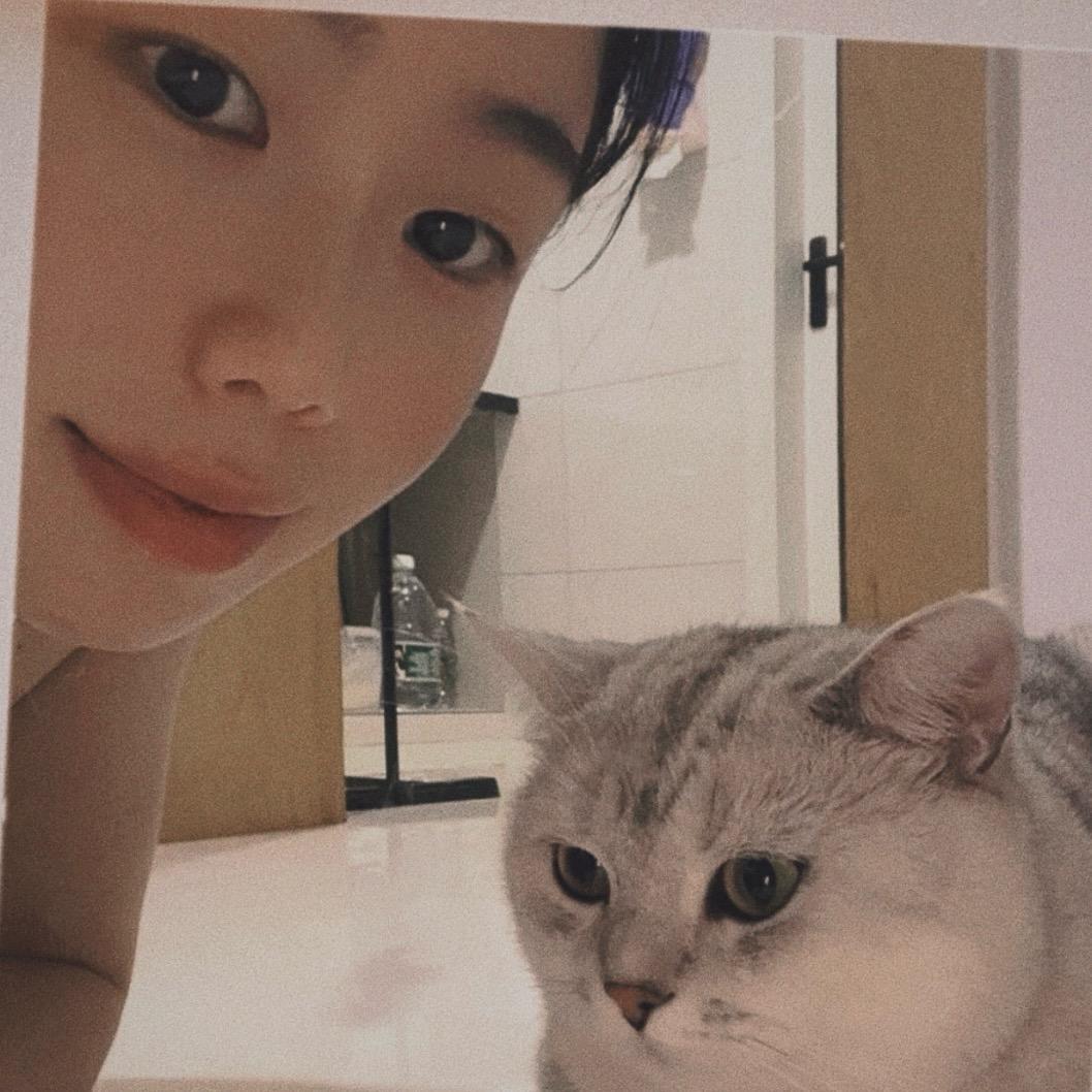 小张泡泡🐈