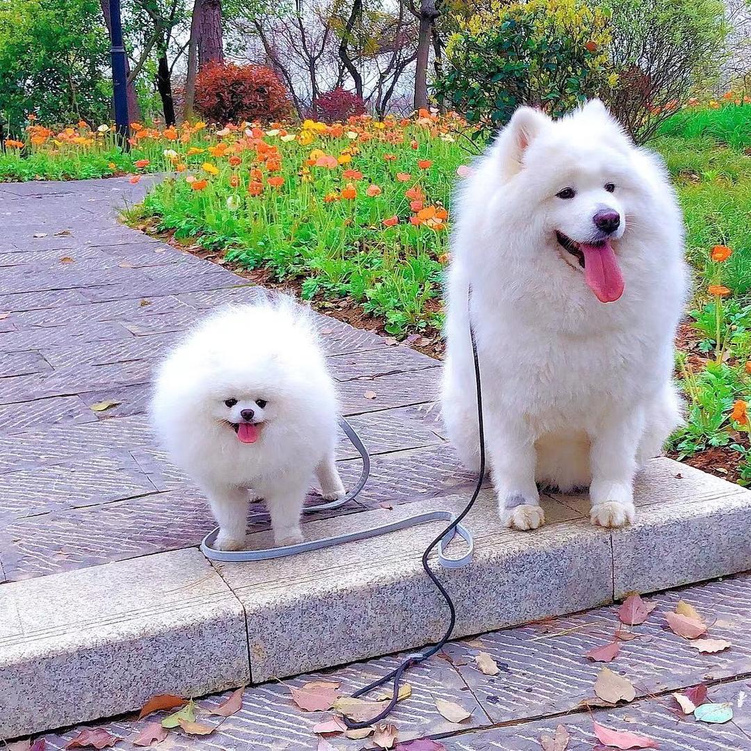 糖果🍬小宝💕