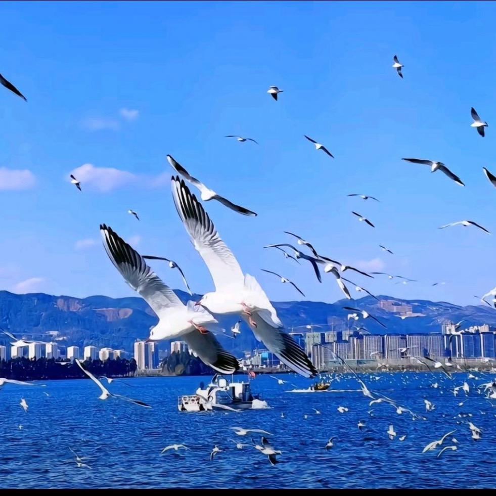 霞