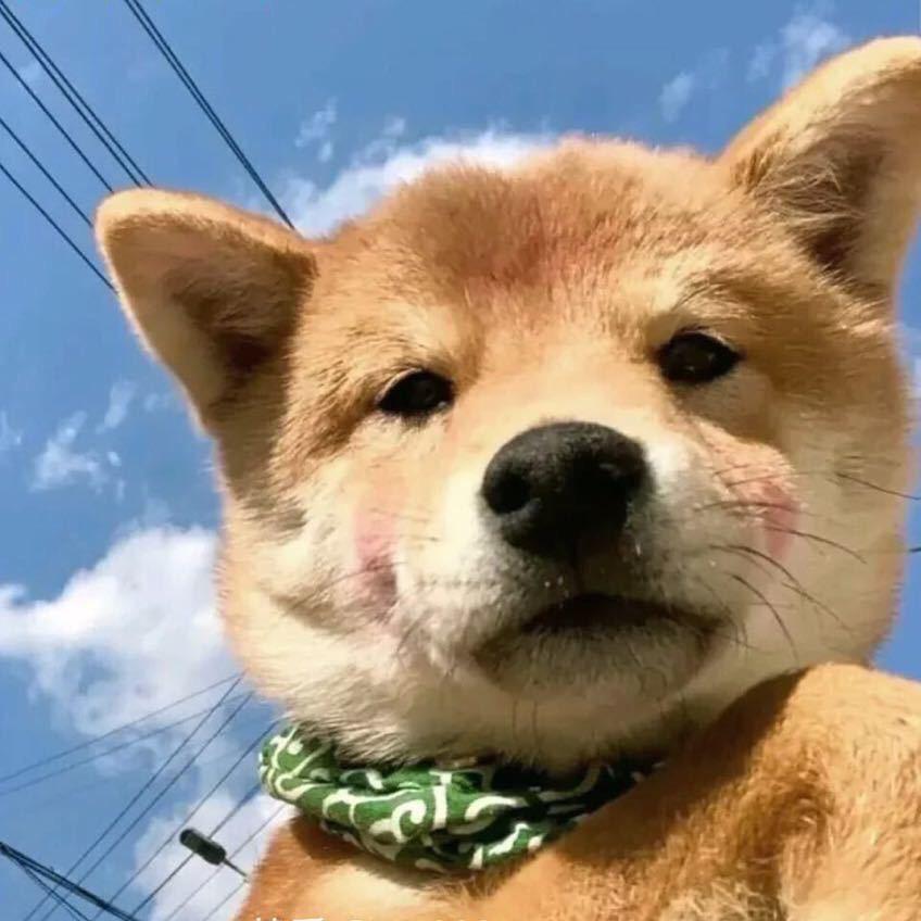 远隔山川 与 岛屿 .